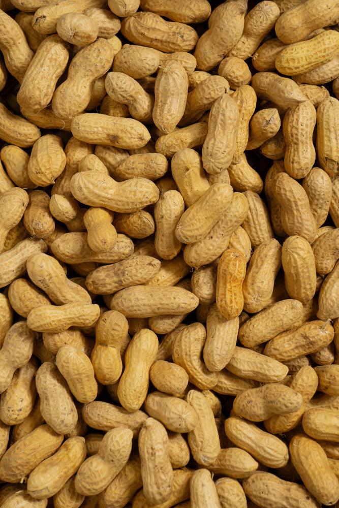 Health Benefits of Pista Magaz in Pakistan: Why You Should Include It in Your Diet