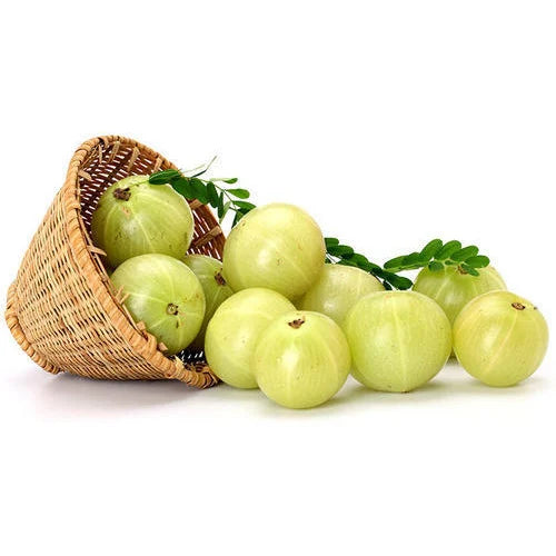 Buy Amla Fruit Fresh and Organic