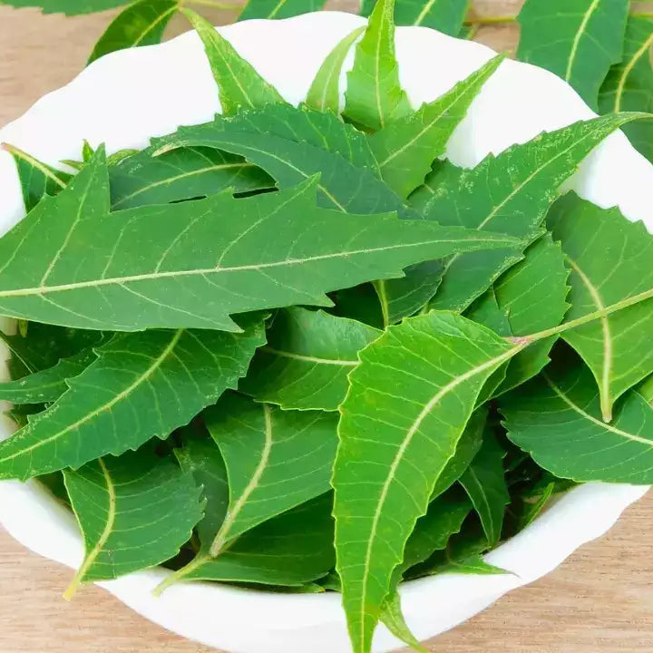 Capsules Online, Capsules, Neem Online