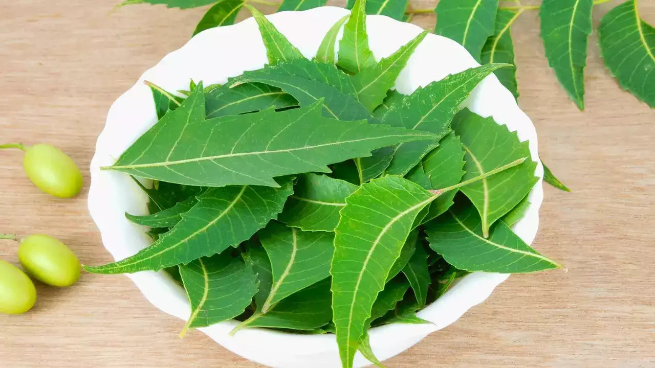 Capsules Online, Capsules, Neem Online