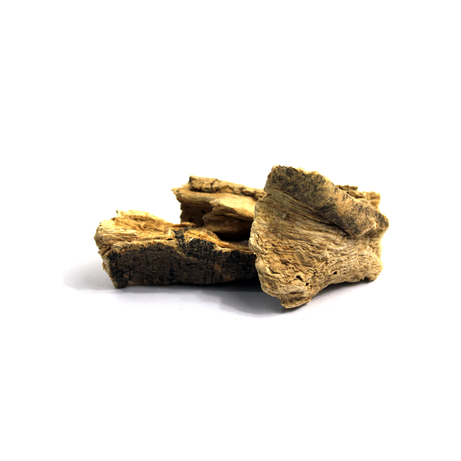 Capsules Online, Capsules, Marine Costus Online