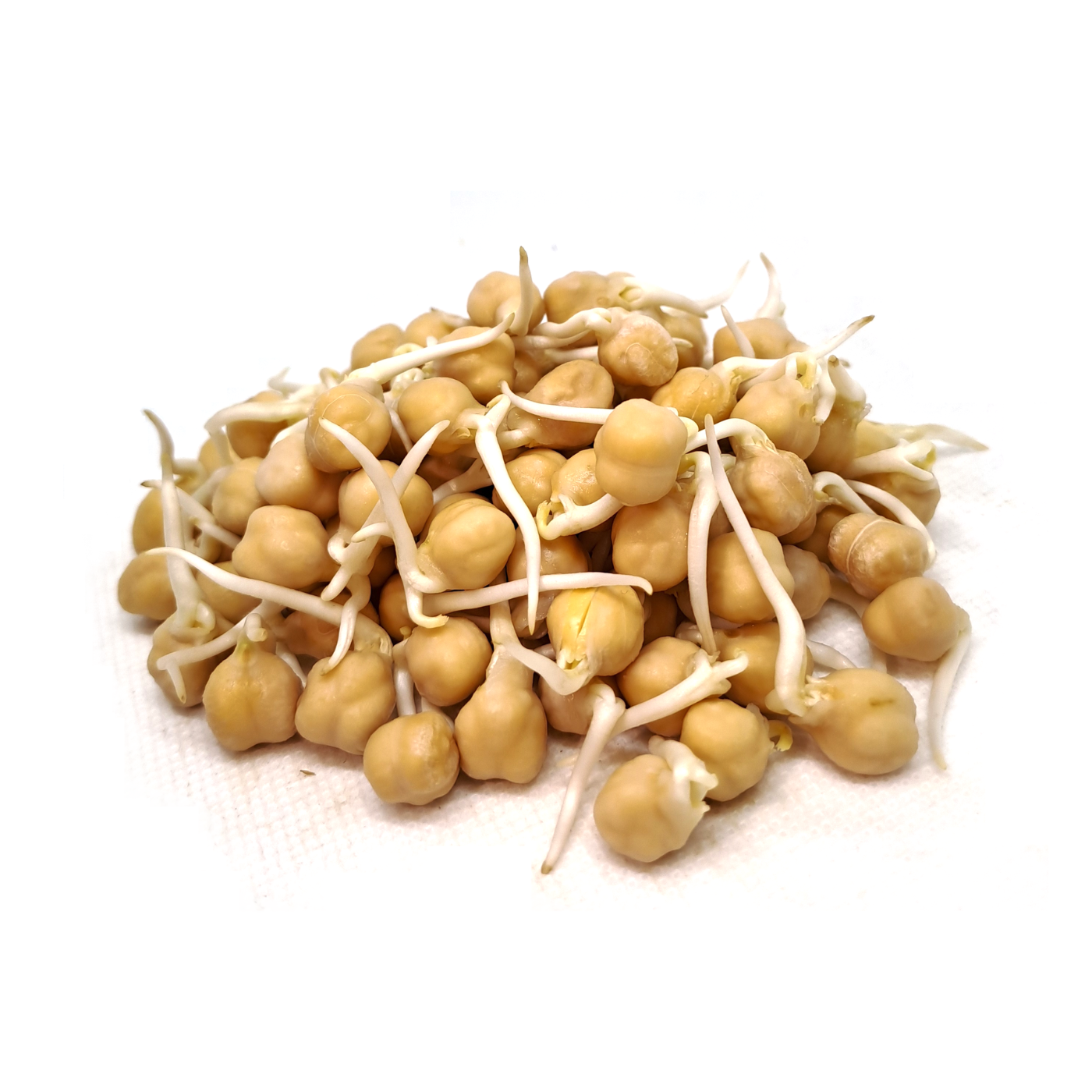 Chickpea Sprouts