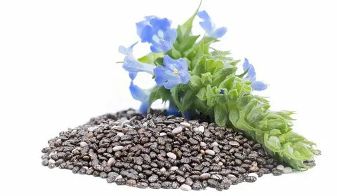 Buy Organic Chia Seeds - Chia Seeds Price in Pakistan