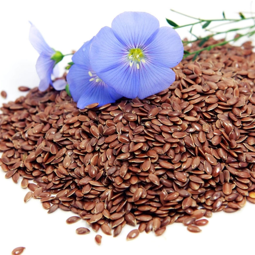 Buy Organic Flax Seeds - Flax Seeds Price in Pakistan