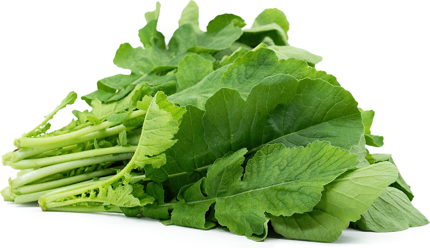 Daikon Leaves