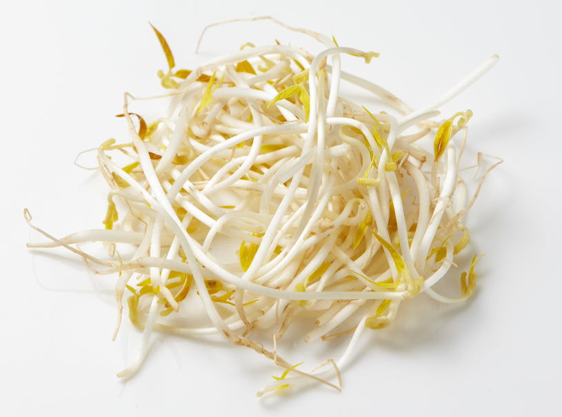 Mung Bean Sprouts
