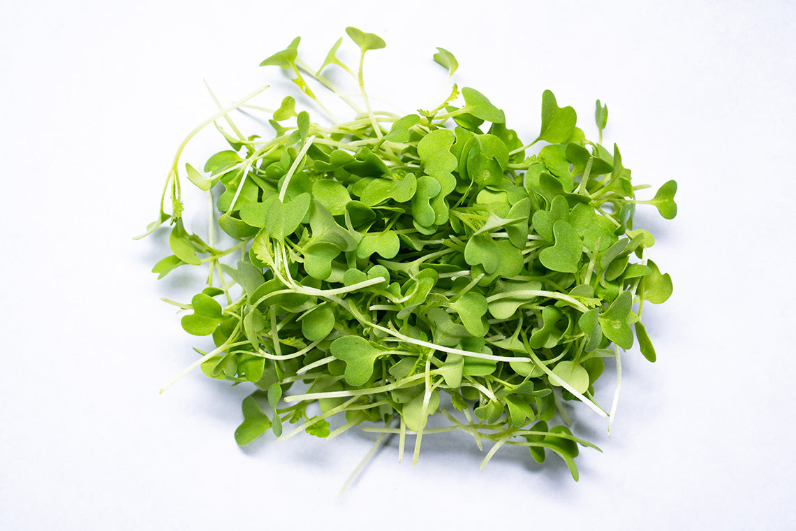 Mustard Cress