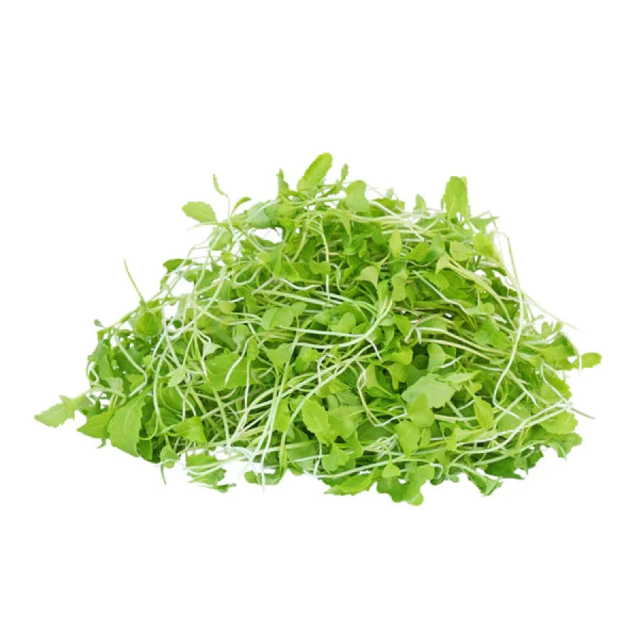 Mustard Microgreens