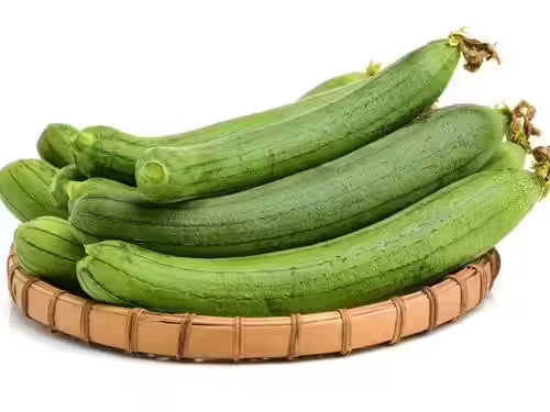 Ridge Gourd