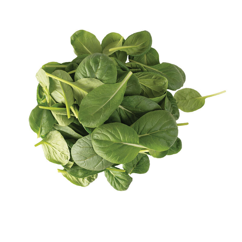 Tatsoi