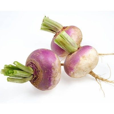 Turnip Purple