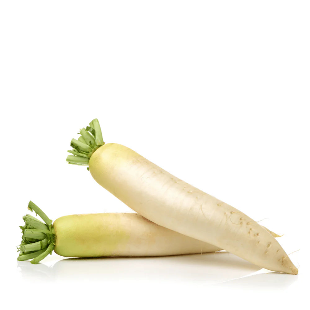 White Radish