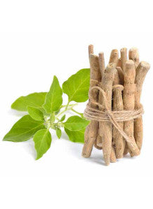 Ashwagandha, Ashwagandha Capsules, Capsule Online Online