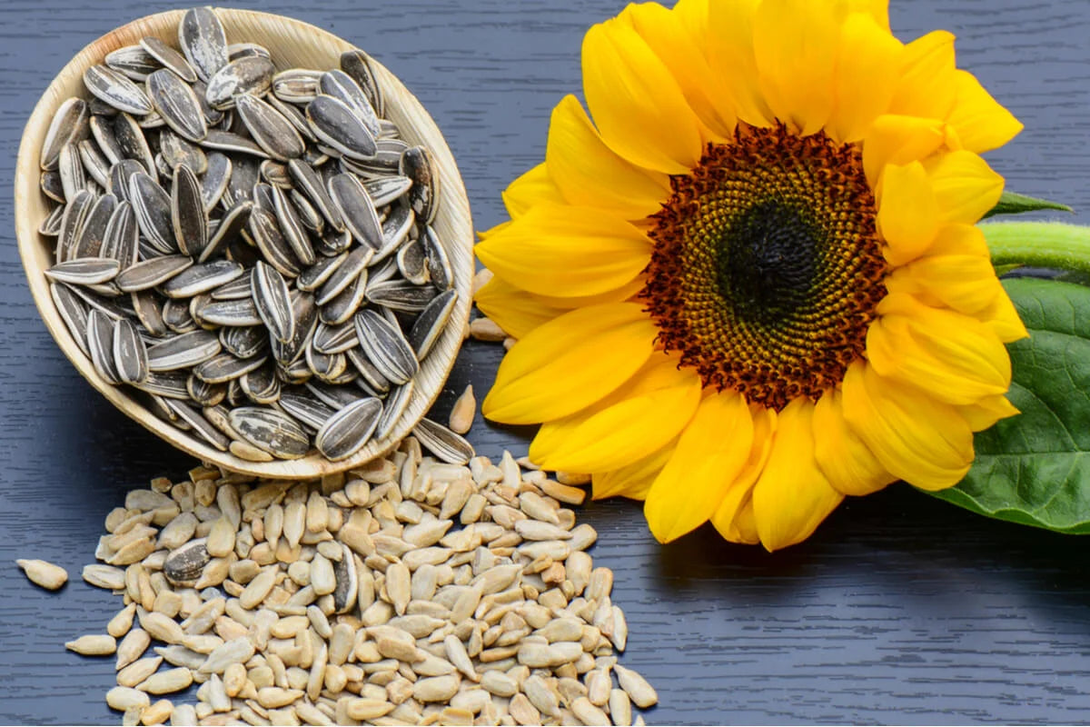 buy Organic Sunflower Seeds, Sunflower Seeds price in pakistan