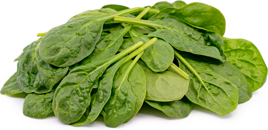 Baby Spinach