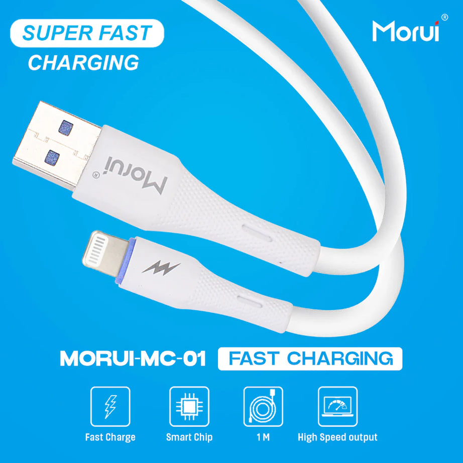 apple lightning cable, apple usb cable, best iphone charger cable
