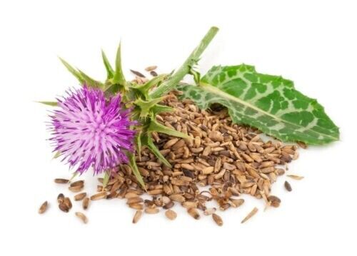 Capsules Online, Capsules, Milk Thistle Online