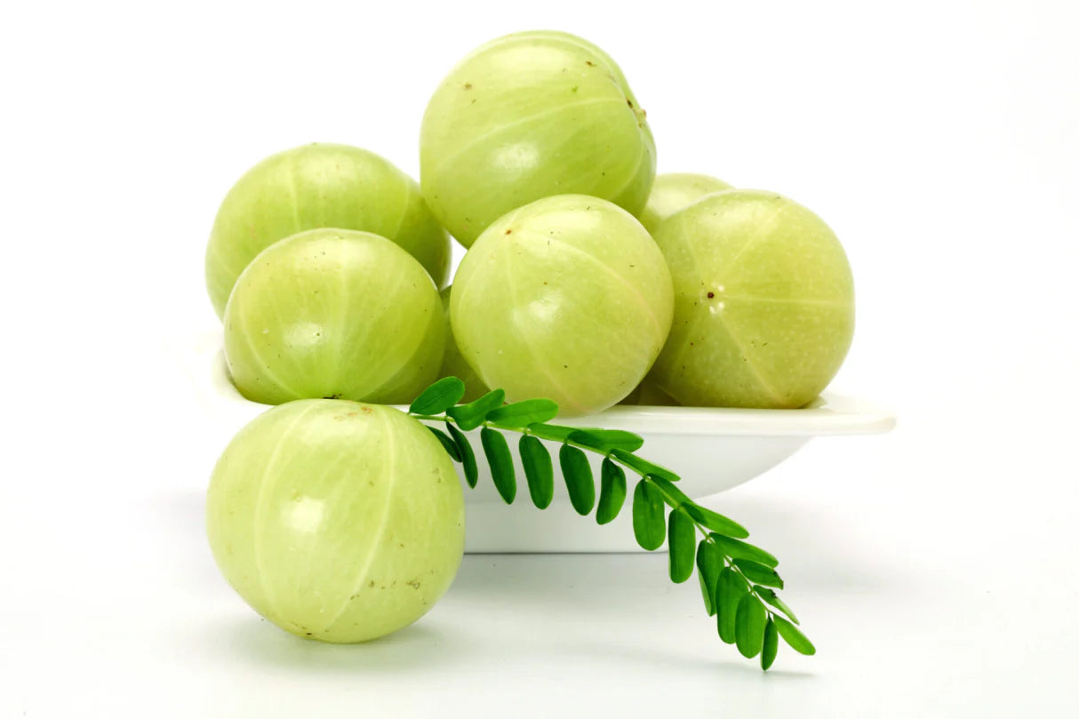 Fress Amla (gooseberry) Online - 5kg Pack