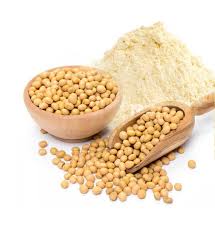 Powder, Organic Powder, Powder