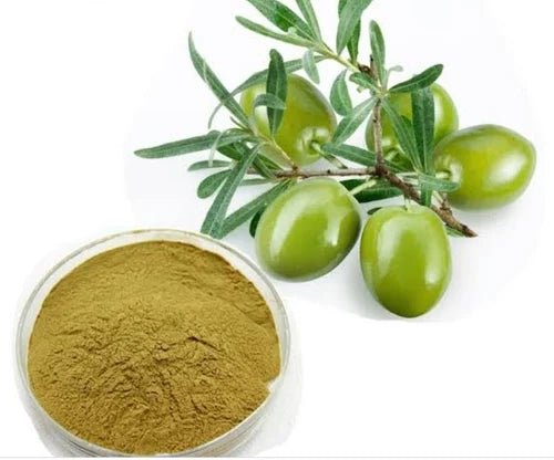 Powder, Olive Leaf, Olive Leaf Powder