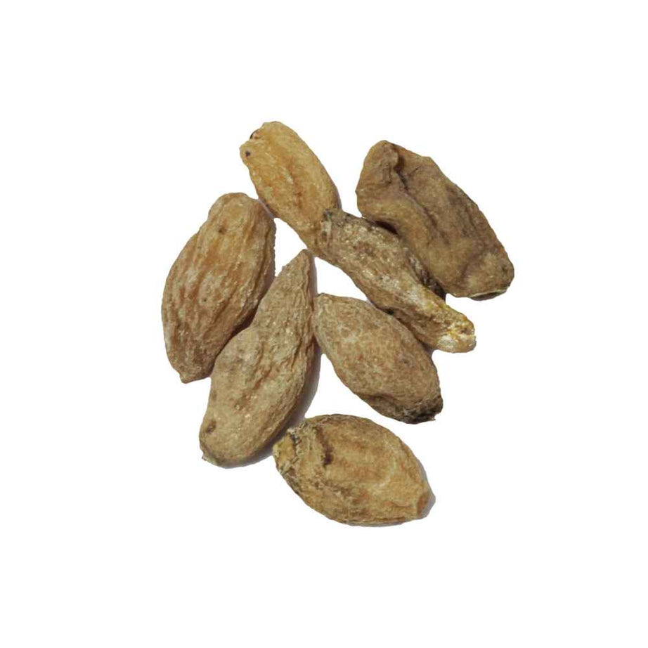 Capsules Online, Capsules, Salab Misri