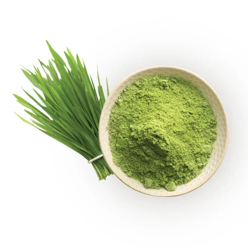 Organic Powder, Powder, Wheatgrass