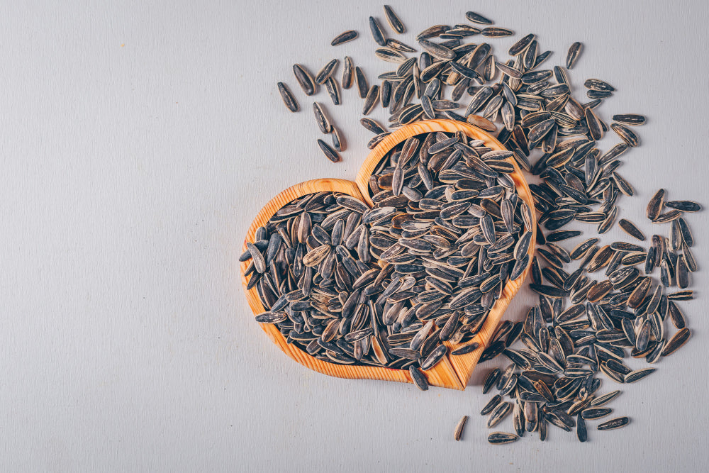 How Sunflower Seeds Benefit Your Health – The Complete Guide in Pakistan