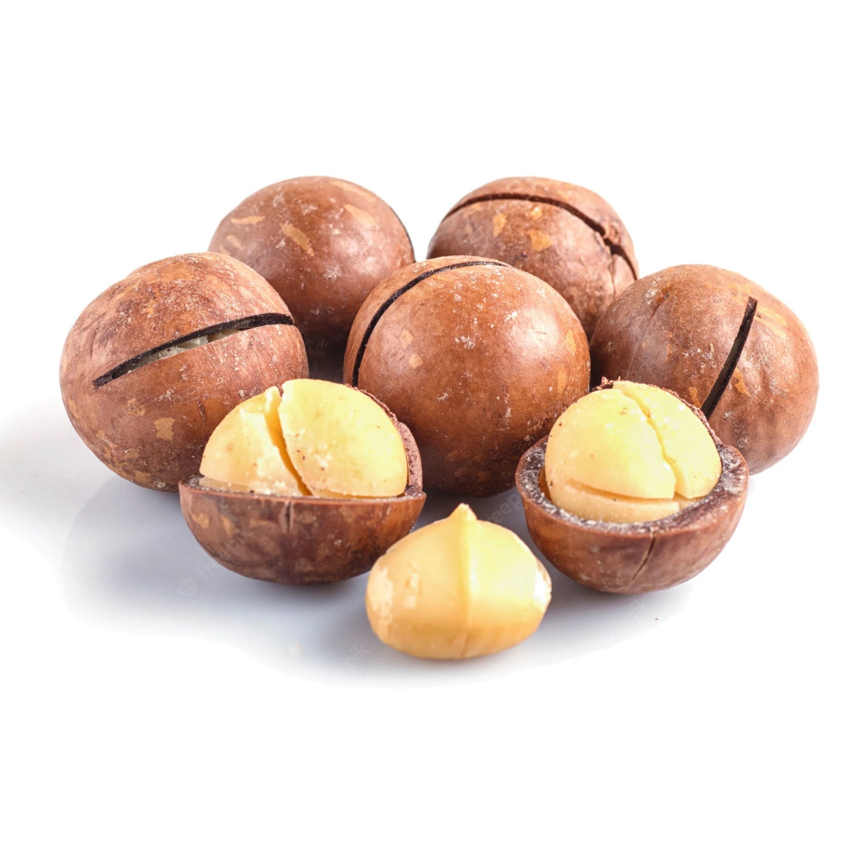 Macadamia, Macadamia Nut, Macadamia Nuts With Sheel