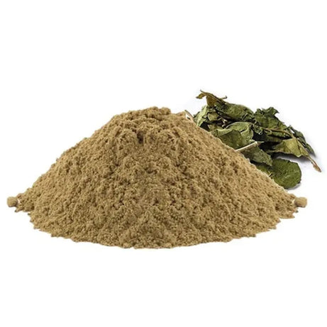 Gurmar, Gurmar Powder, Organic Powder