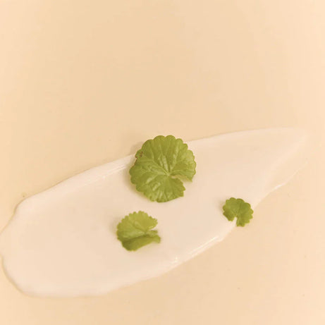 HEVEBLUE Salmon Caring Centella Cream 100ml