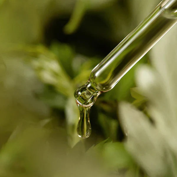 I'M From Mugwort Serum 30ml for soothing skin