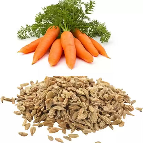 Carrot, Carrot Seeds, organic seeds