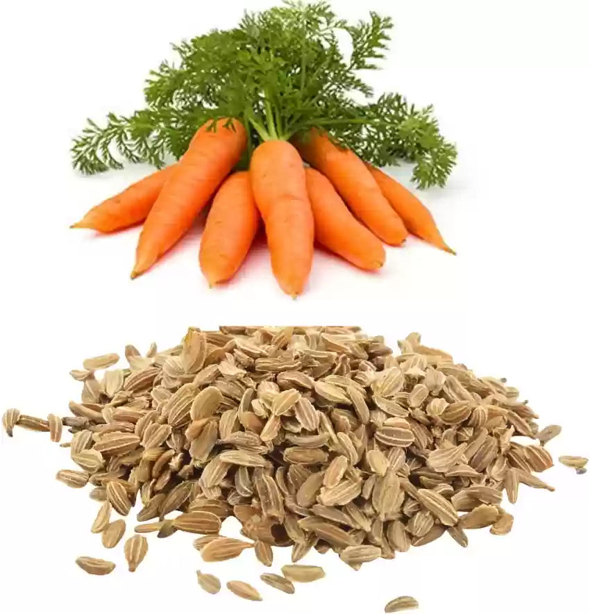 Carrot Seeds 100g