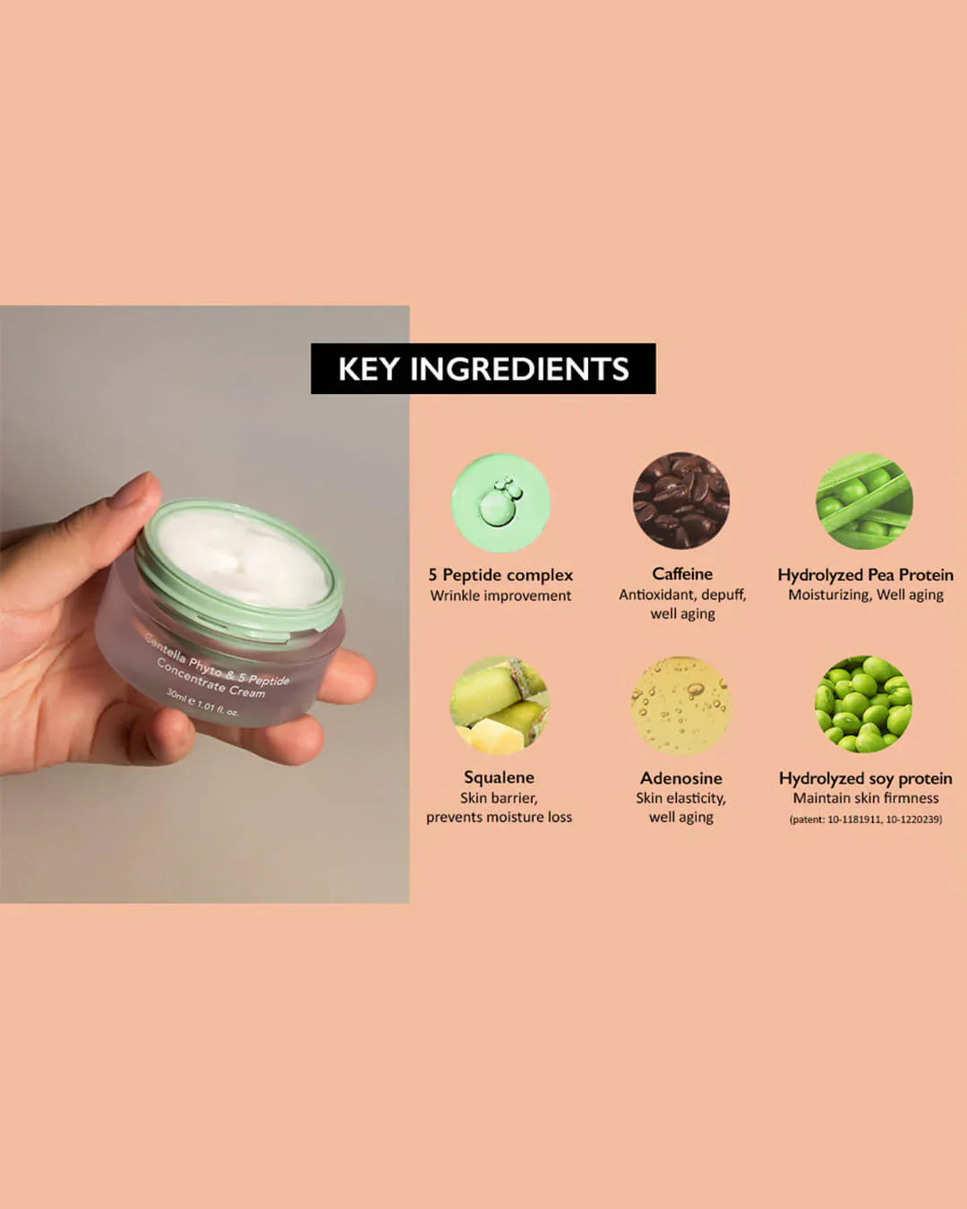 Haruharu Wonder Centella Phyto & 5 Peptide Concentrate Cream for soothing