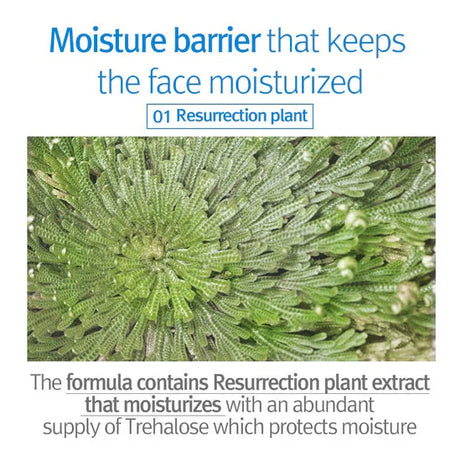 Pyunkang Yul Kids & Baby Face Lotion for sensitive skin care