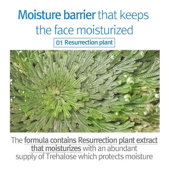 Pyunkang Yul Kids & Baby Face Lotion for sensitive skin care