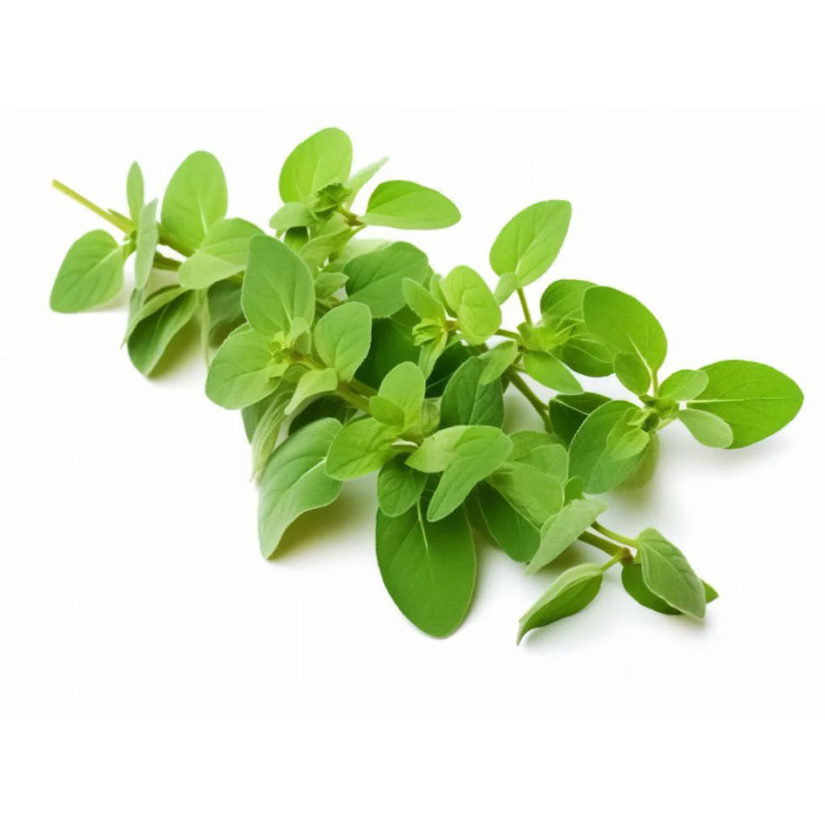 Leaves, Marjoram, Marjoram Leaves