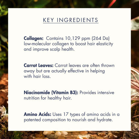 Treecell Day Collagen Shampoo for nourished, healthy hair