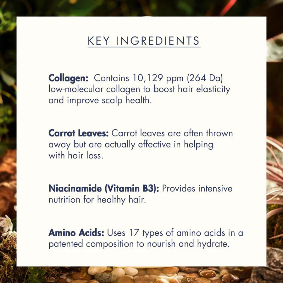 Treecell Day Collagen Shampoo for nourished, healthy hair