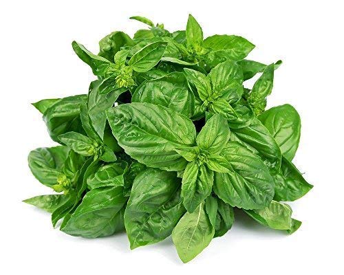 Basil Leaves 50g