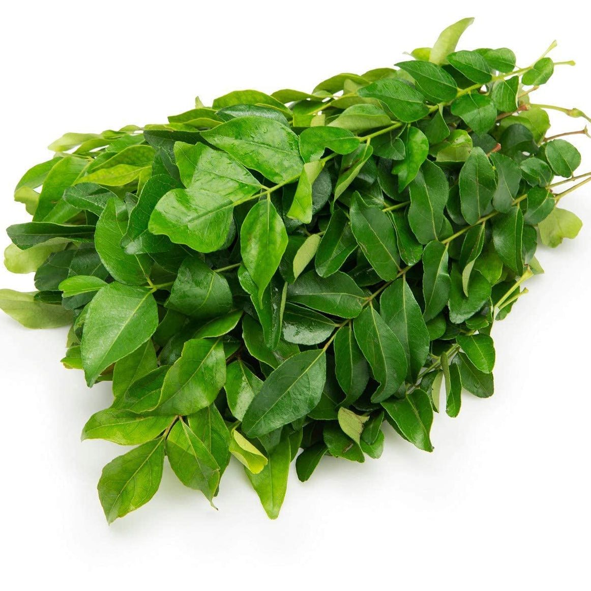 Curry Leaves, Curry Leaves, Curry Leaves price