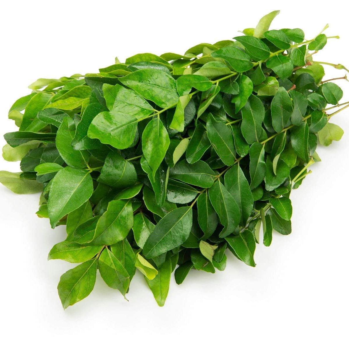 Curry Leaves 100g