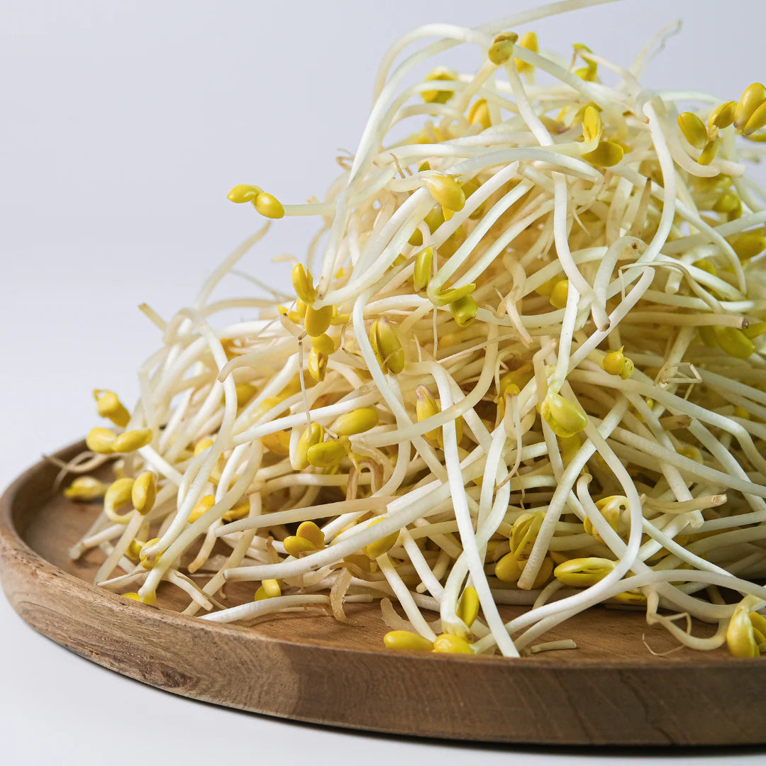 Bean Sprouts