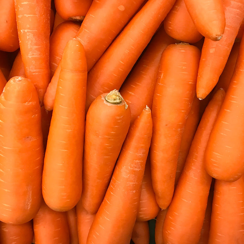 Carrot