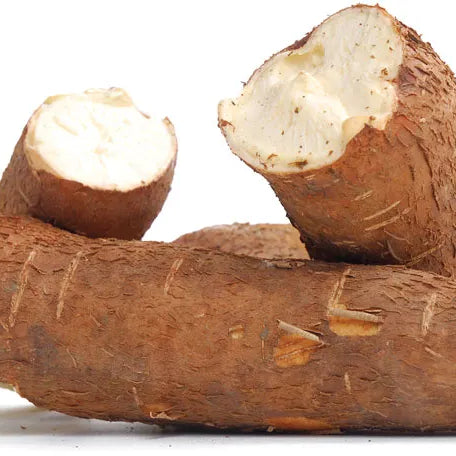 Cassava