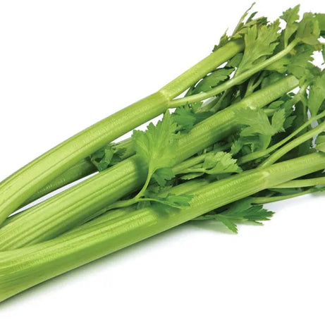 Celery