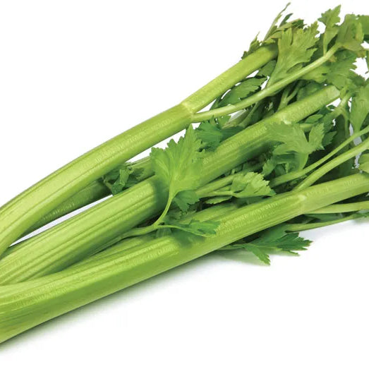 Celery