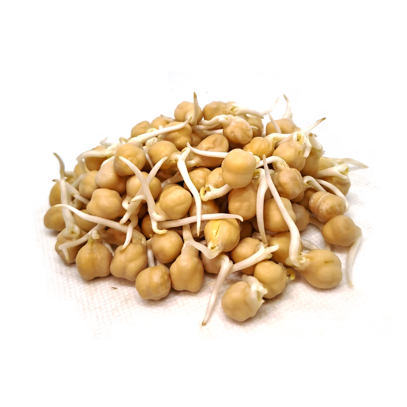 Chickpea Sprouts