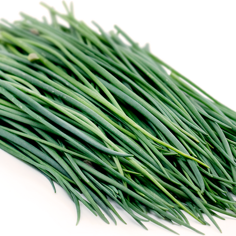 Chives