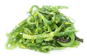 Kelp